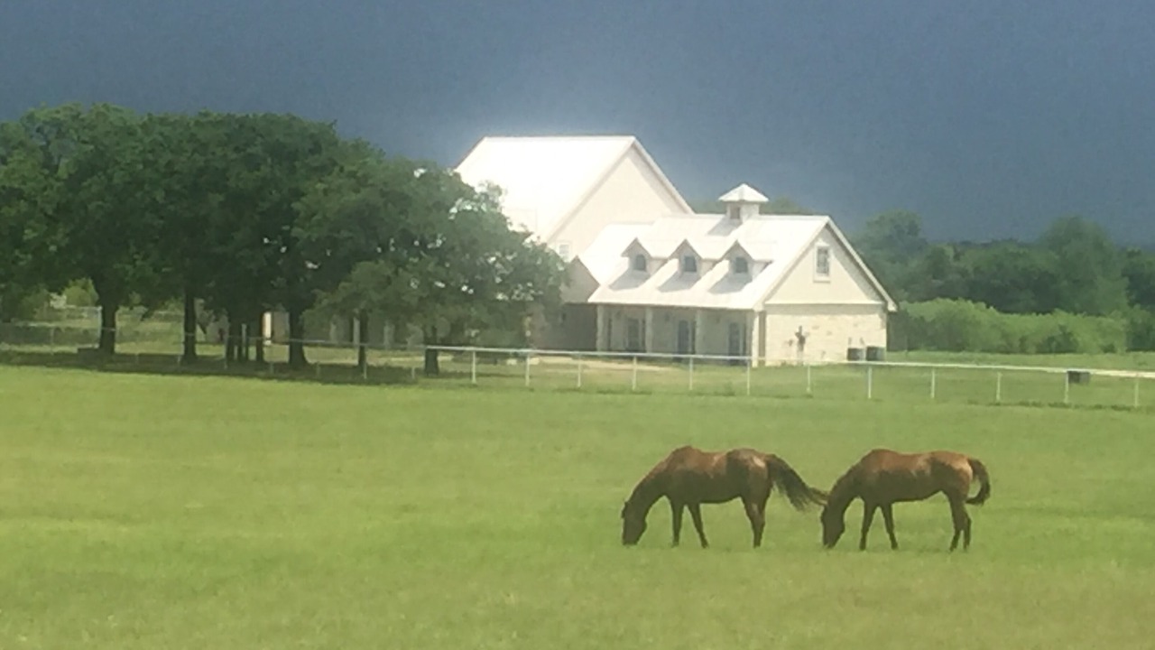 Photo of Others in Burleson