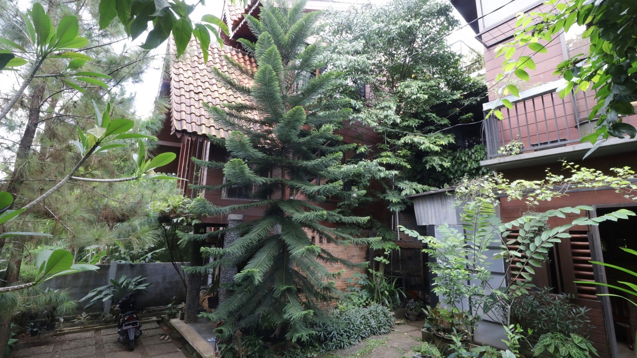 Photo of Outdoor in Jakarta