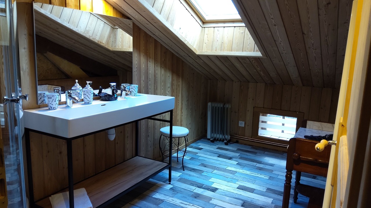 Photo of Bathroom in Sembadel