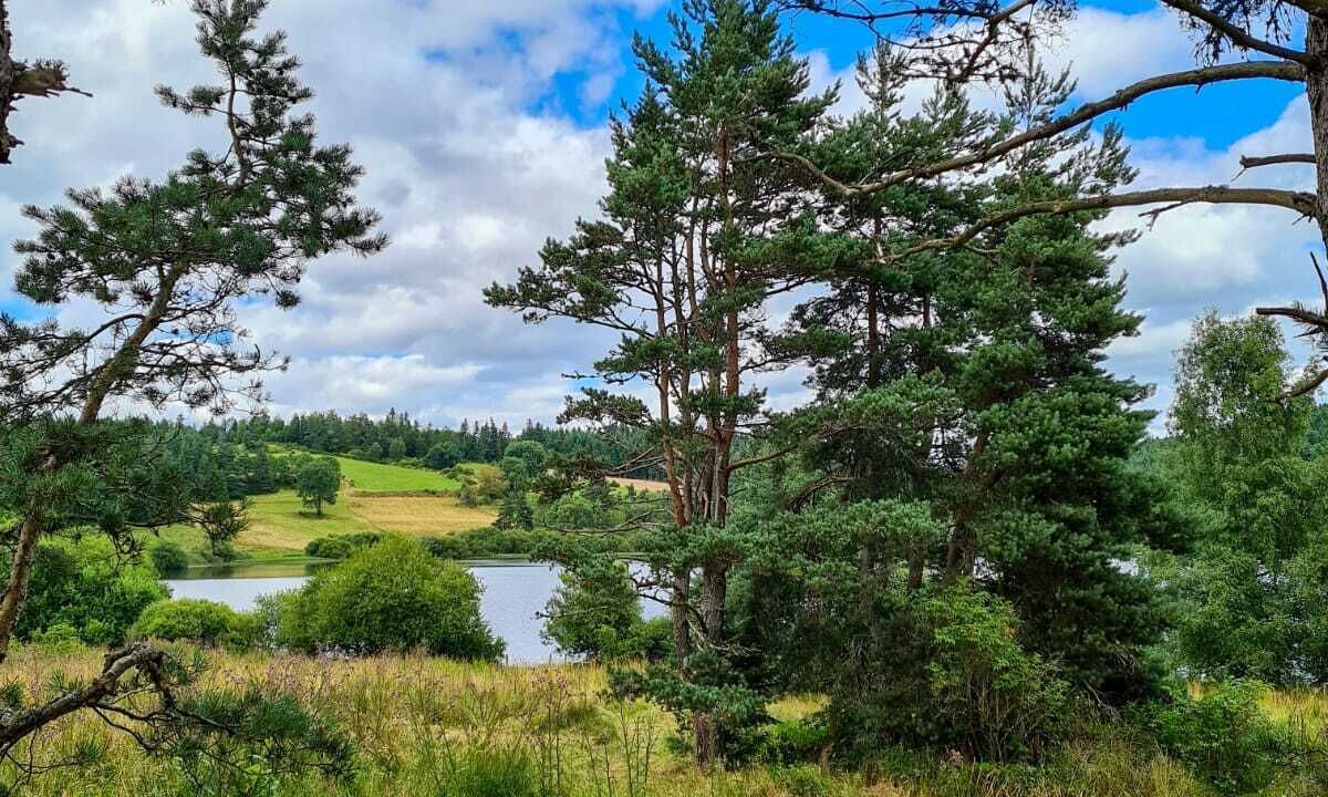 Photo of Outdoor in Sembadel