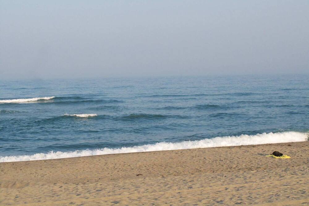 Photo of Others in Torreilles-Plage
