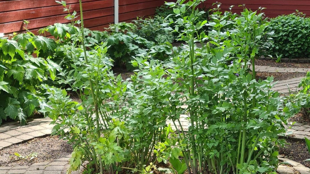 Photo of Outdoor in Store Heddinge