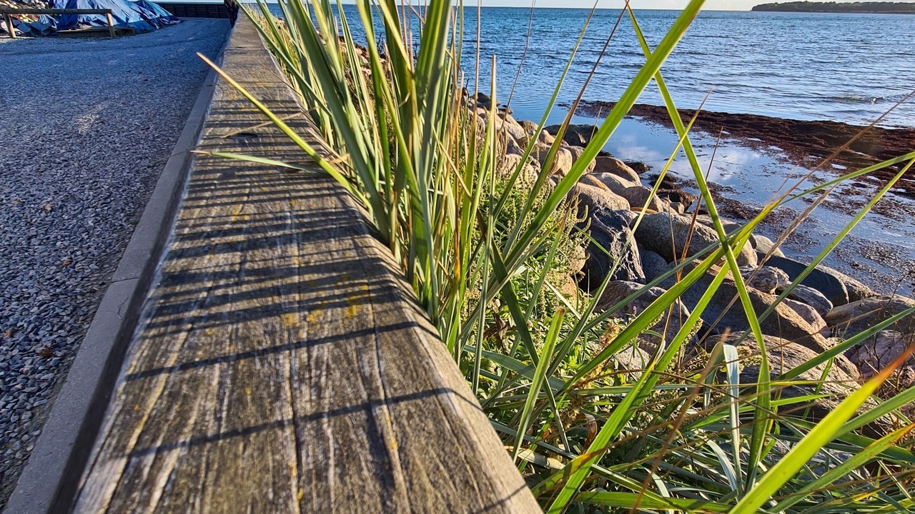 Photo of Outdoor in Store Heddinge