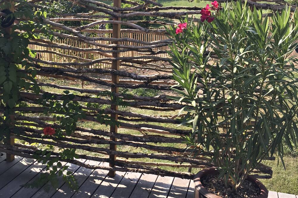 Photo of Patio Balcony in Concores