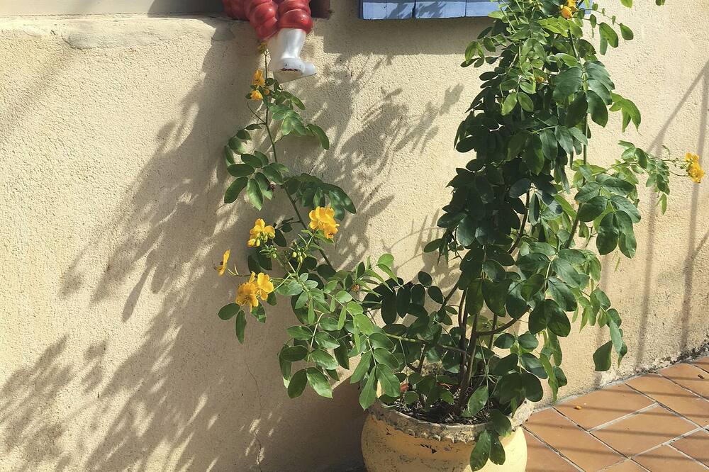 Photo of Outdoor in Concores