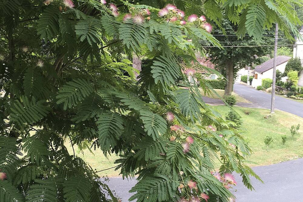 Photo of Outdoor in Concores