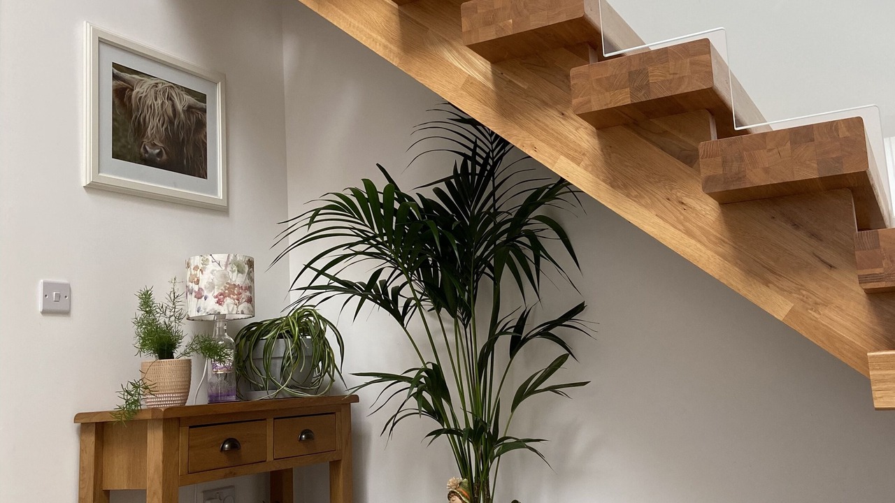 Photo of Others in South Galson