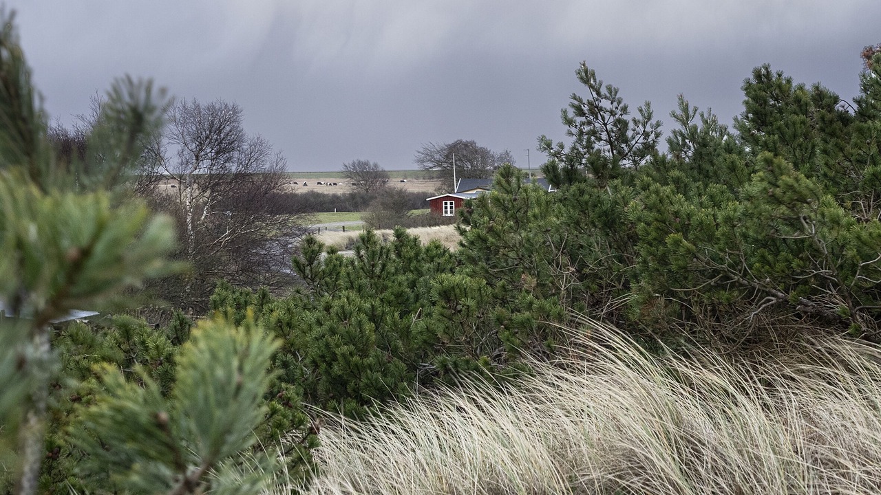 Photo of Outdoor in Rodby