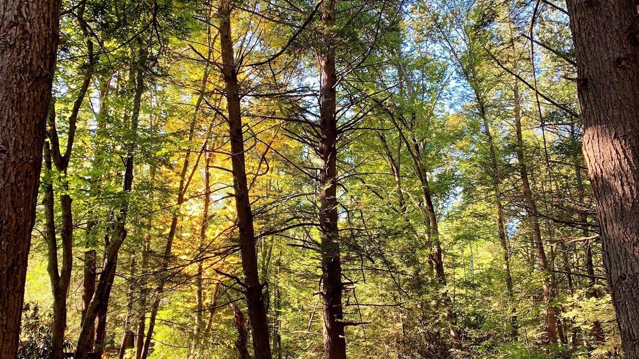 Photo of Outdoor in Canadensis
