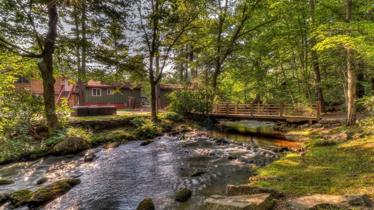 Photo of Others in Canadensis