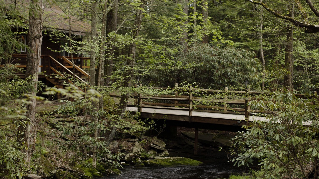 Photo of Others in Canadensis