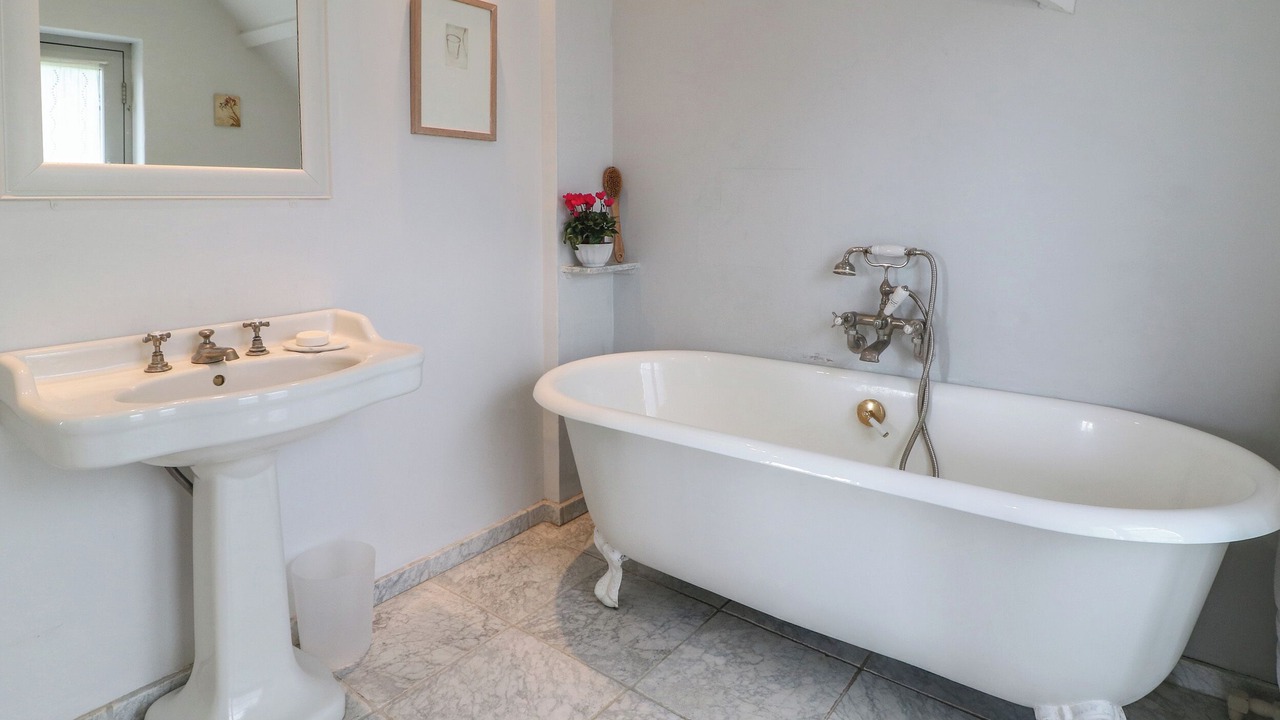 Photo of Others in Ebbesborne Wake