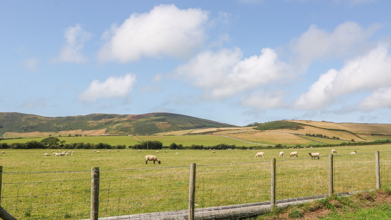Photo of Others in Tywyn