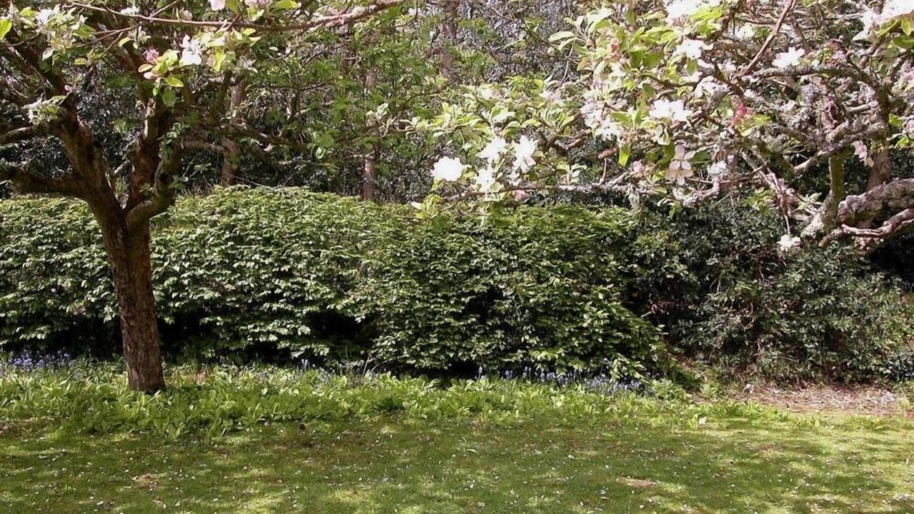 Photo of Others in Upper Dicker