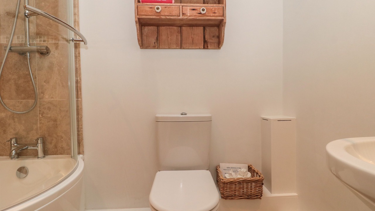 Photo of Others in New Forest District