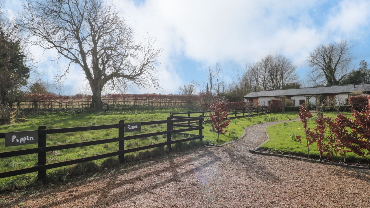 Photo of Others in New Forest District