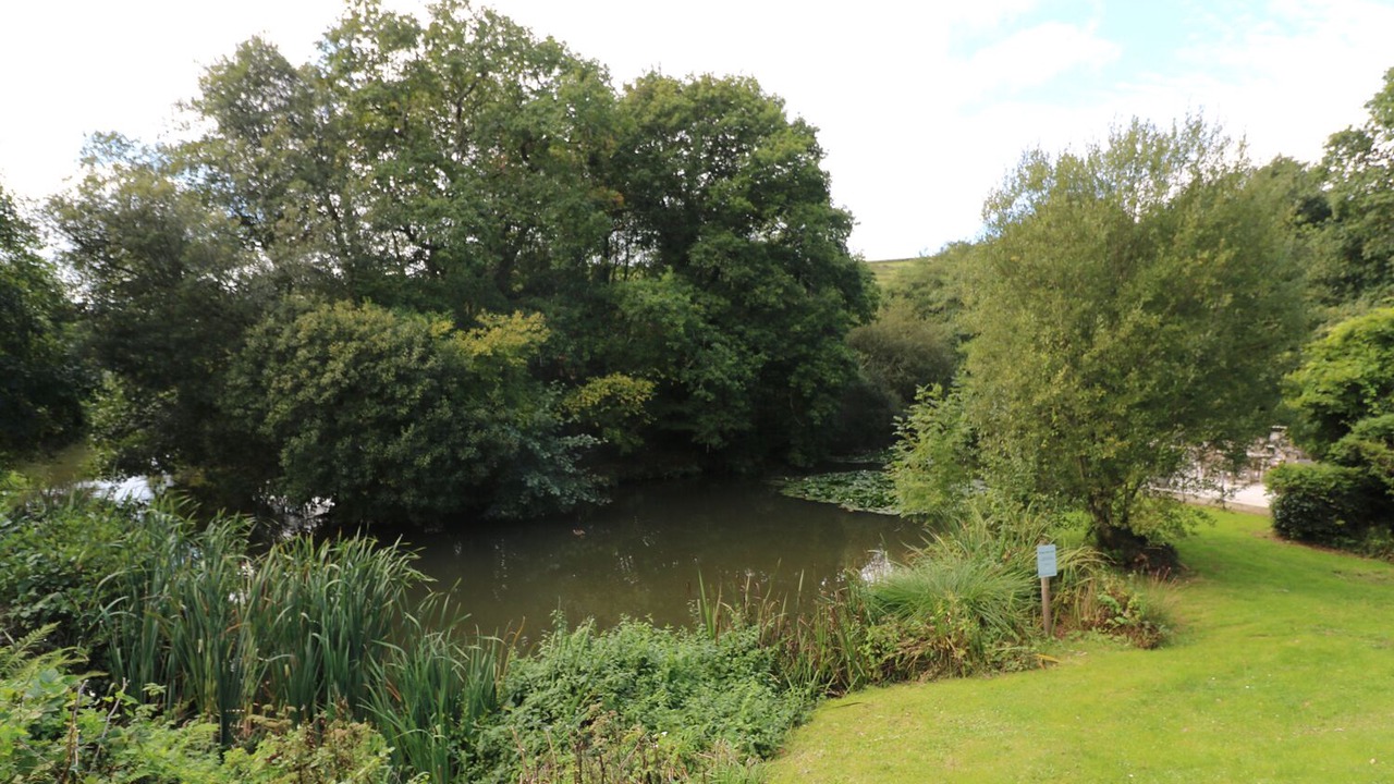 Photo of Others in Looe