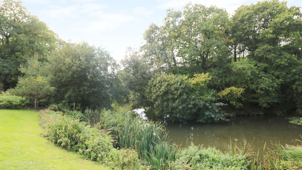 Photo of Others in Looe