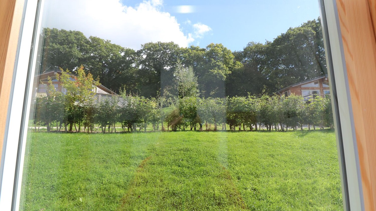 Photo of Others in Looe