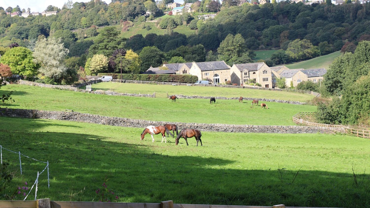 Photo of Others in South Crossland