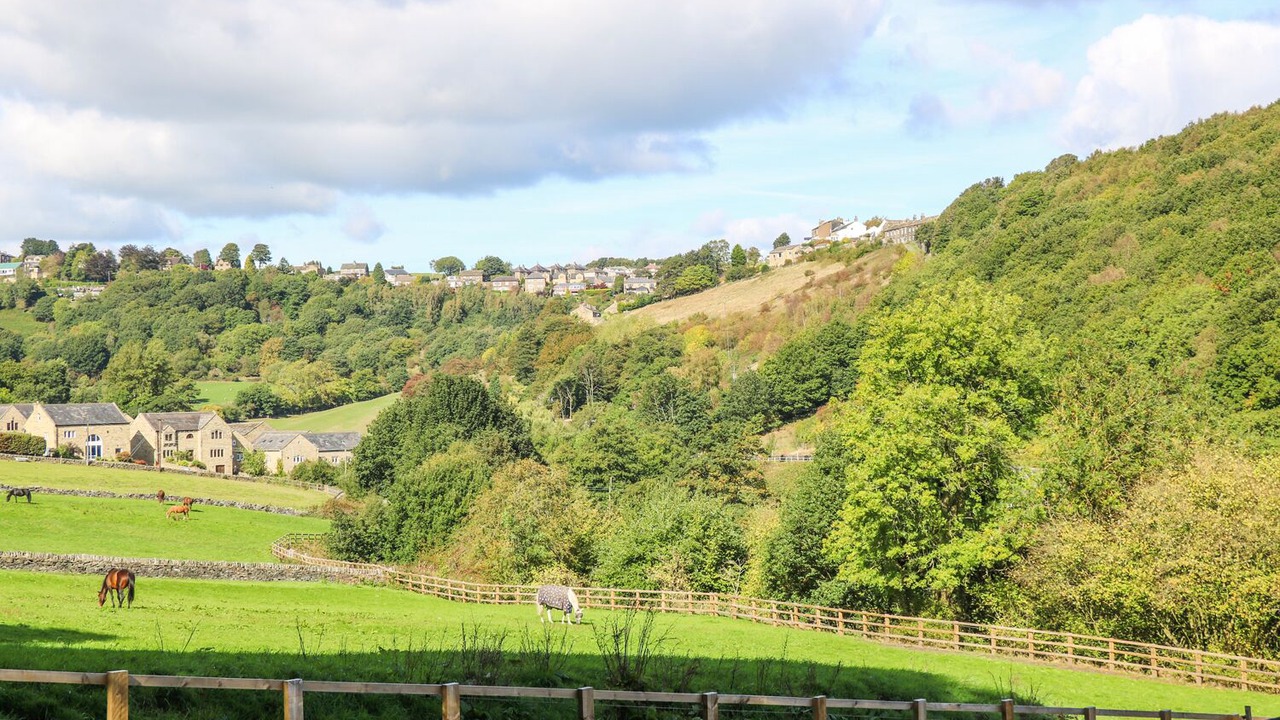 Photo of Others in South Crossland