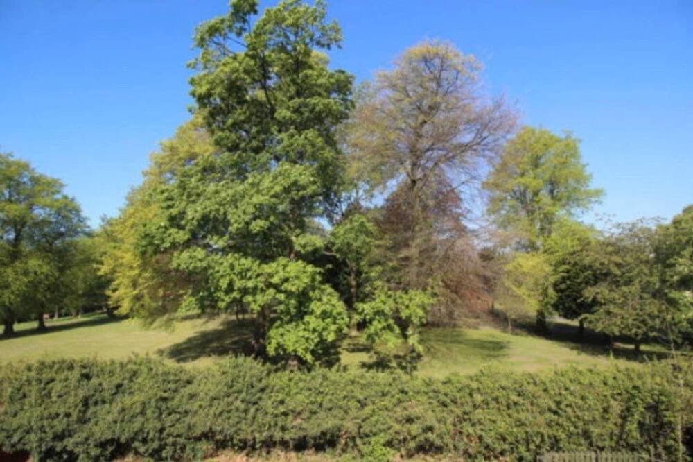 Photo of Others in Clydebank