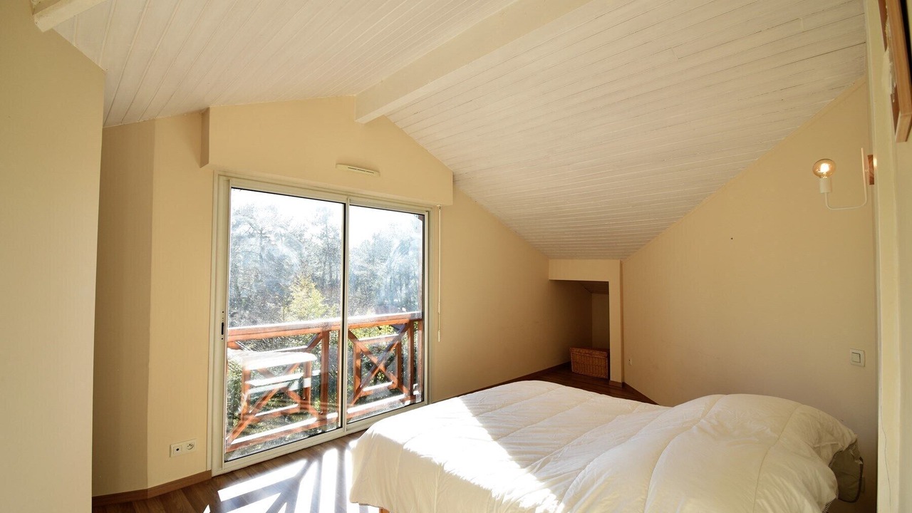 Photo of Others in Soorts-Hossegor