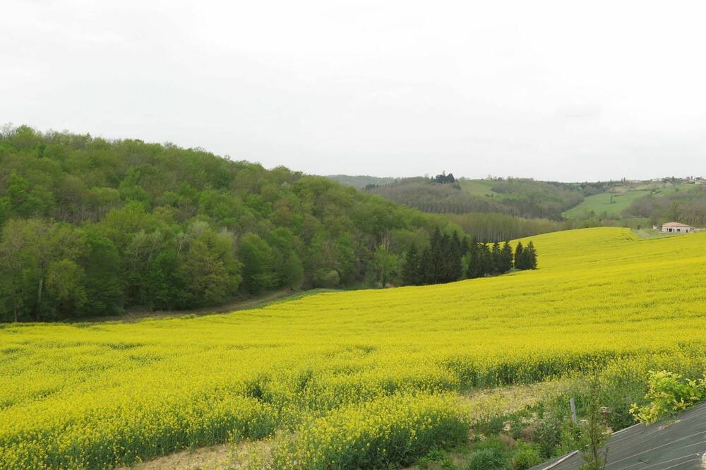 Photo of Others in L'Honor-de-Cos