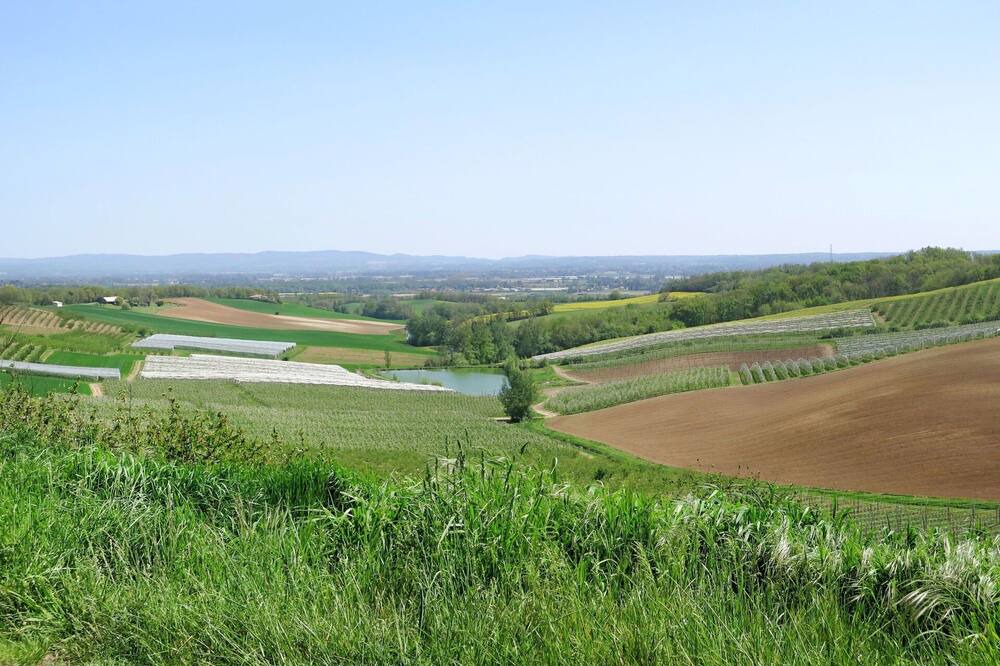 Photo of Others in L'Honor-de-Cos