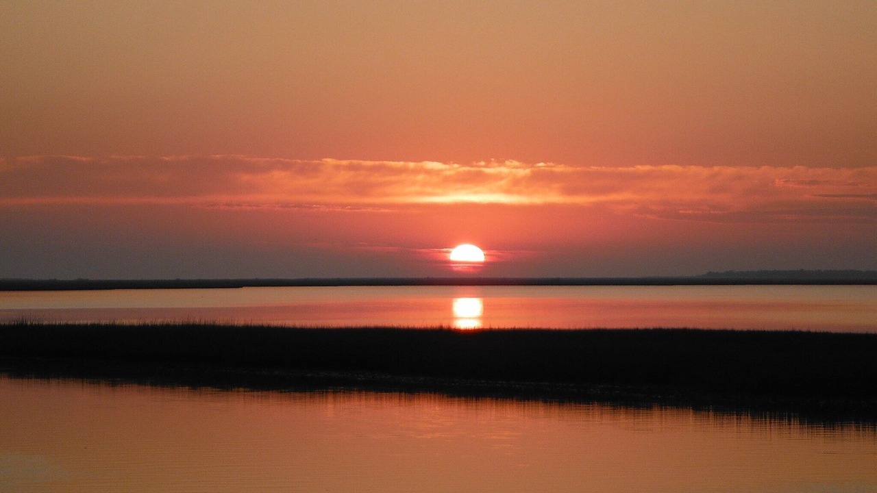 Photo of Outdoor in Wachapreague
