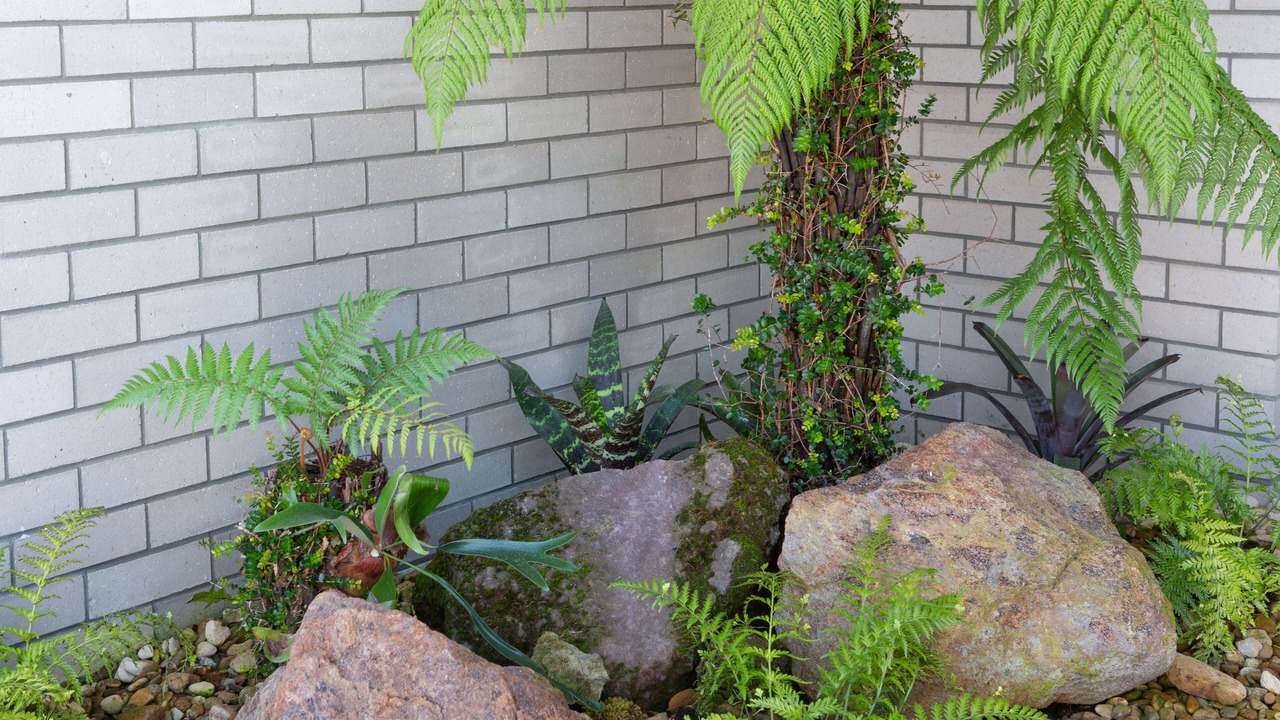 Photo of Outdoor in Ngongotaha