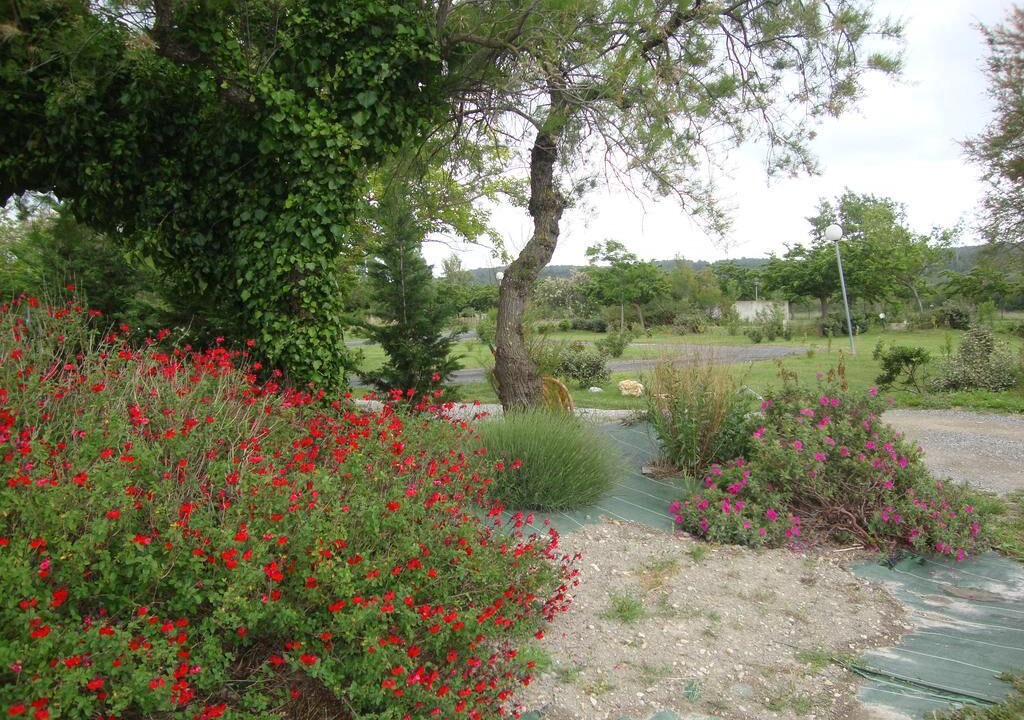 Photo of Outdoor in Sigean