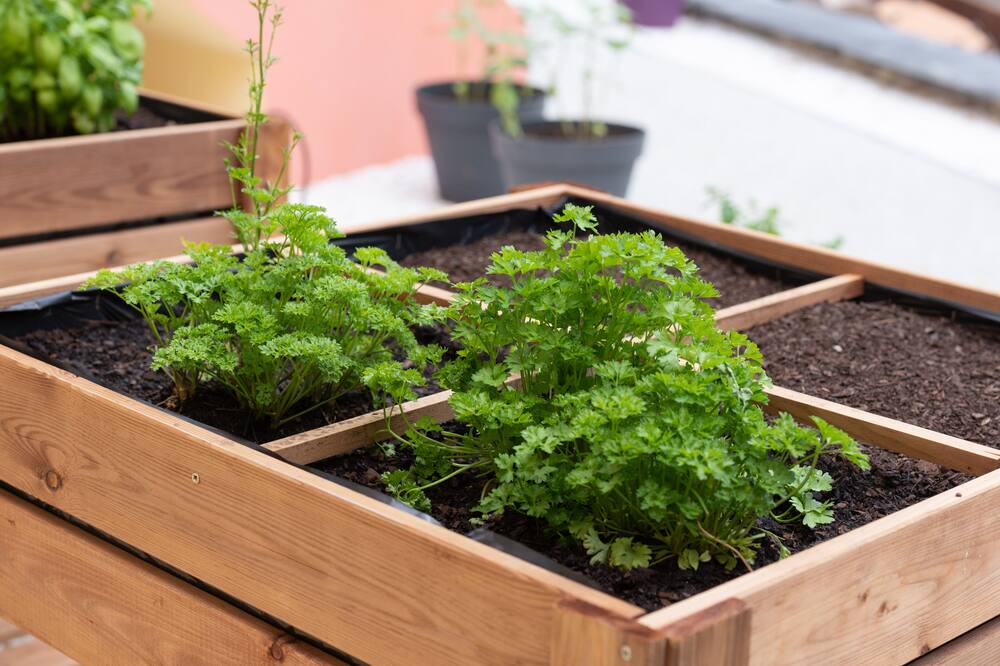 Photo of Outdoor in Capvern