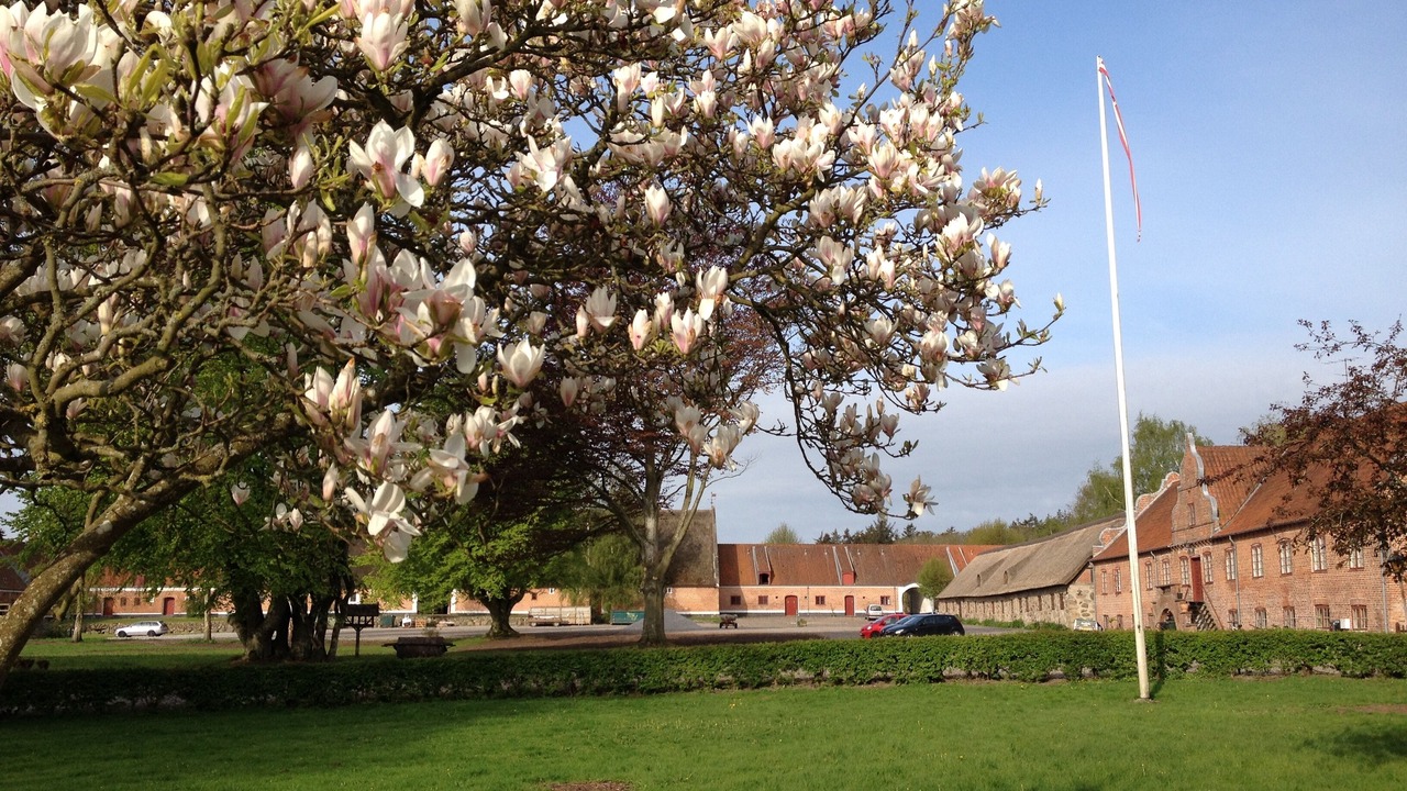 Photo of Outdoor in Gjerrild