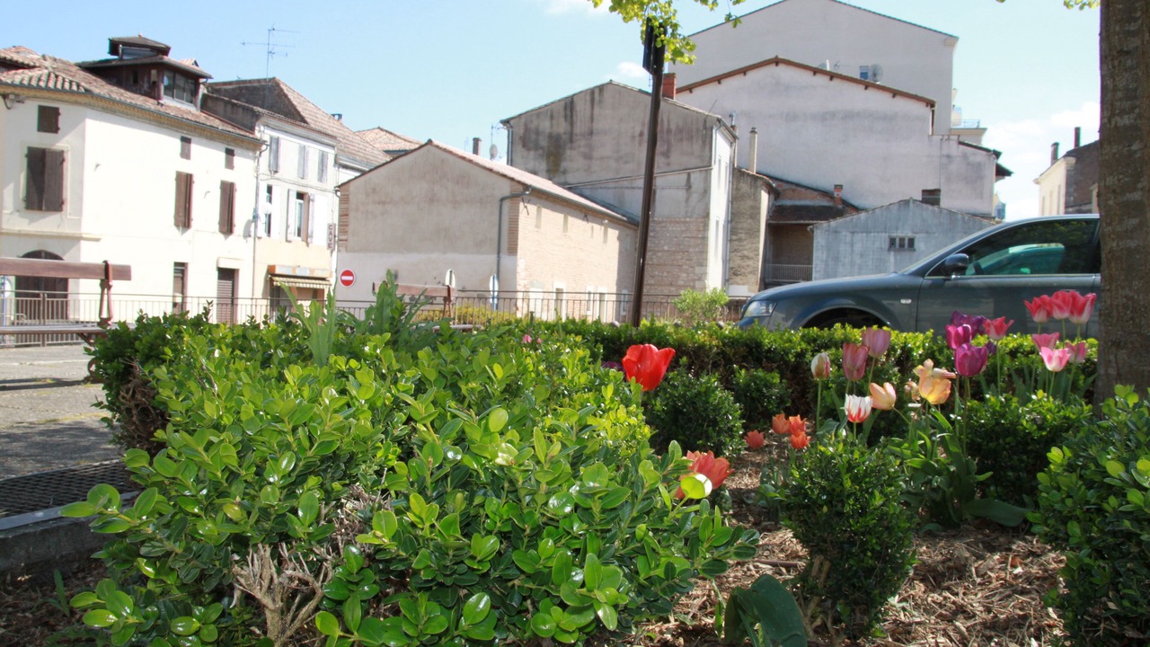 Photo of Outdoor in Tonneins