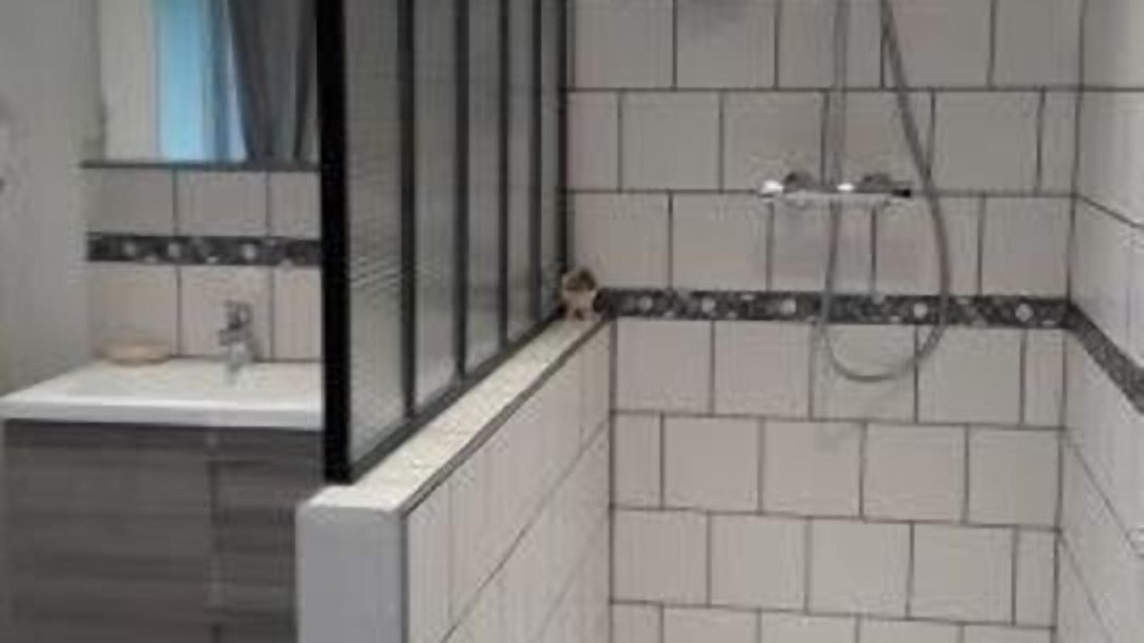 Photo of Bathroom in Bannay