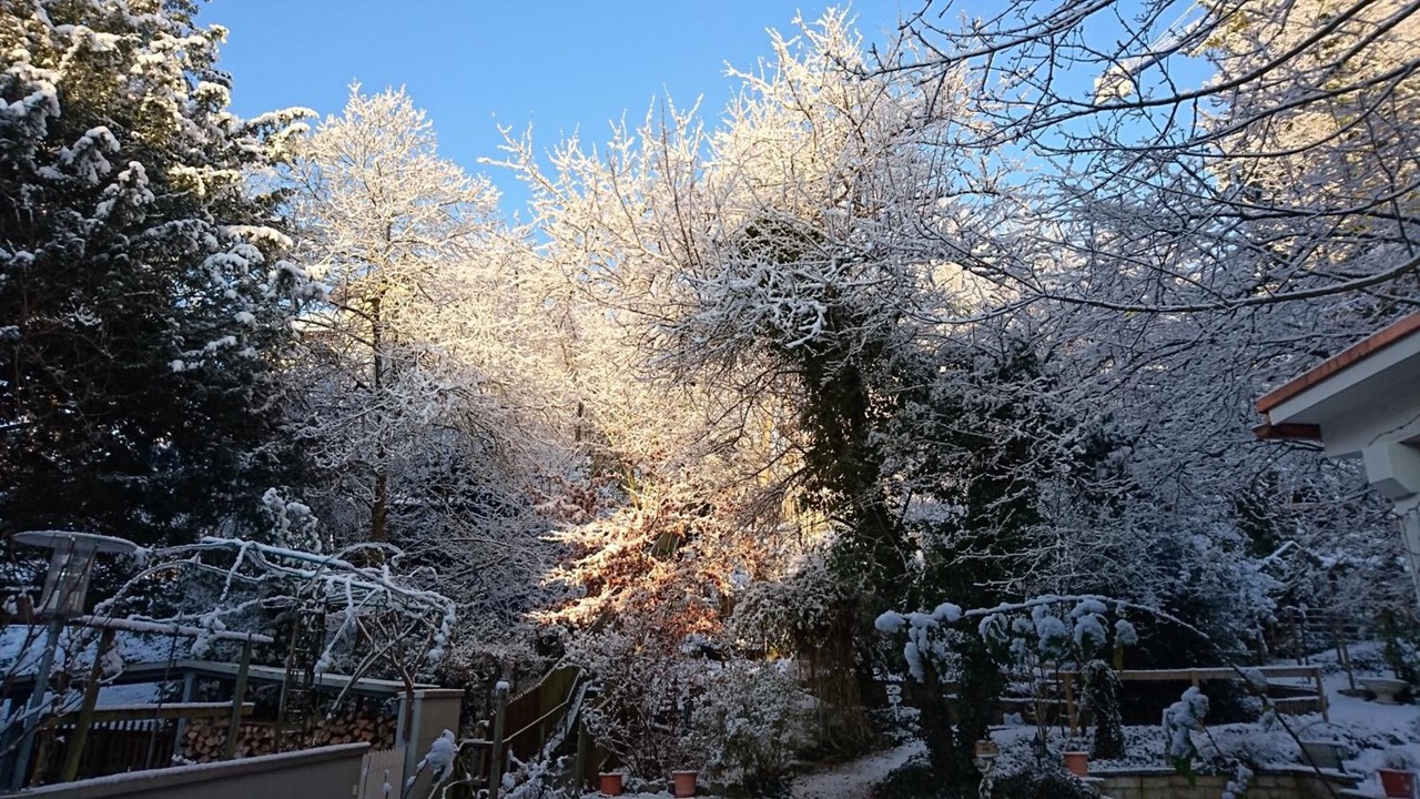 Photo of Outdoor in Schaffhausen