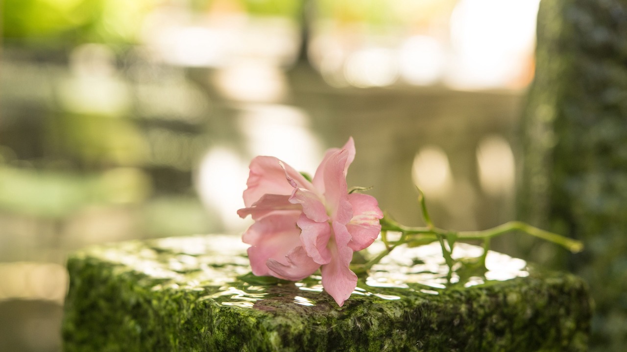 Photo of Outdoor in Schaffhausen