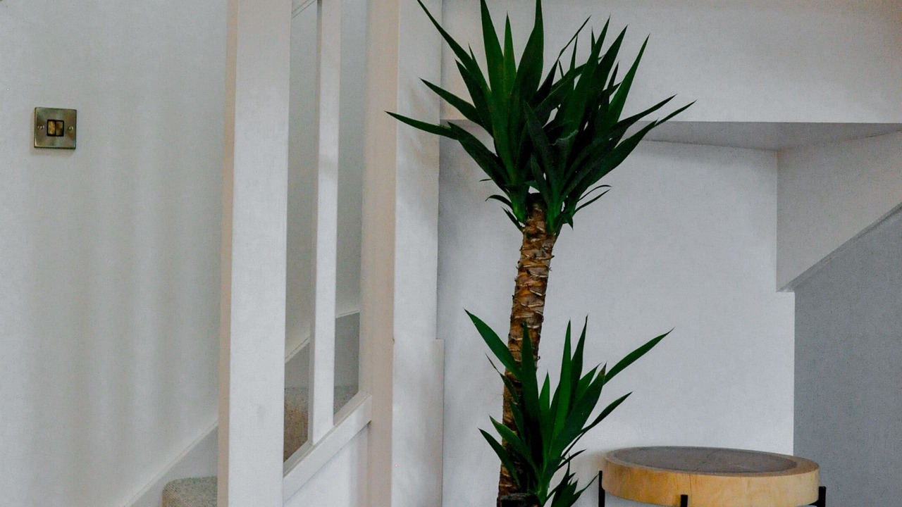 Photo of Bedroom in Barbourne