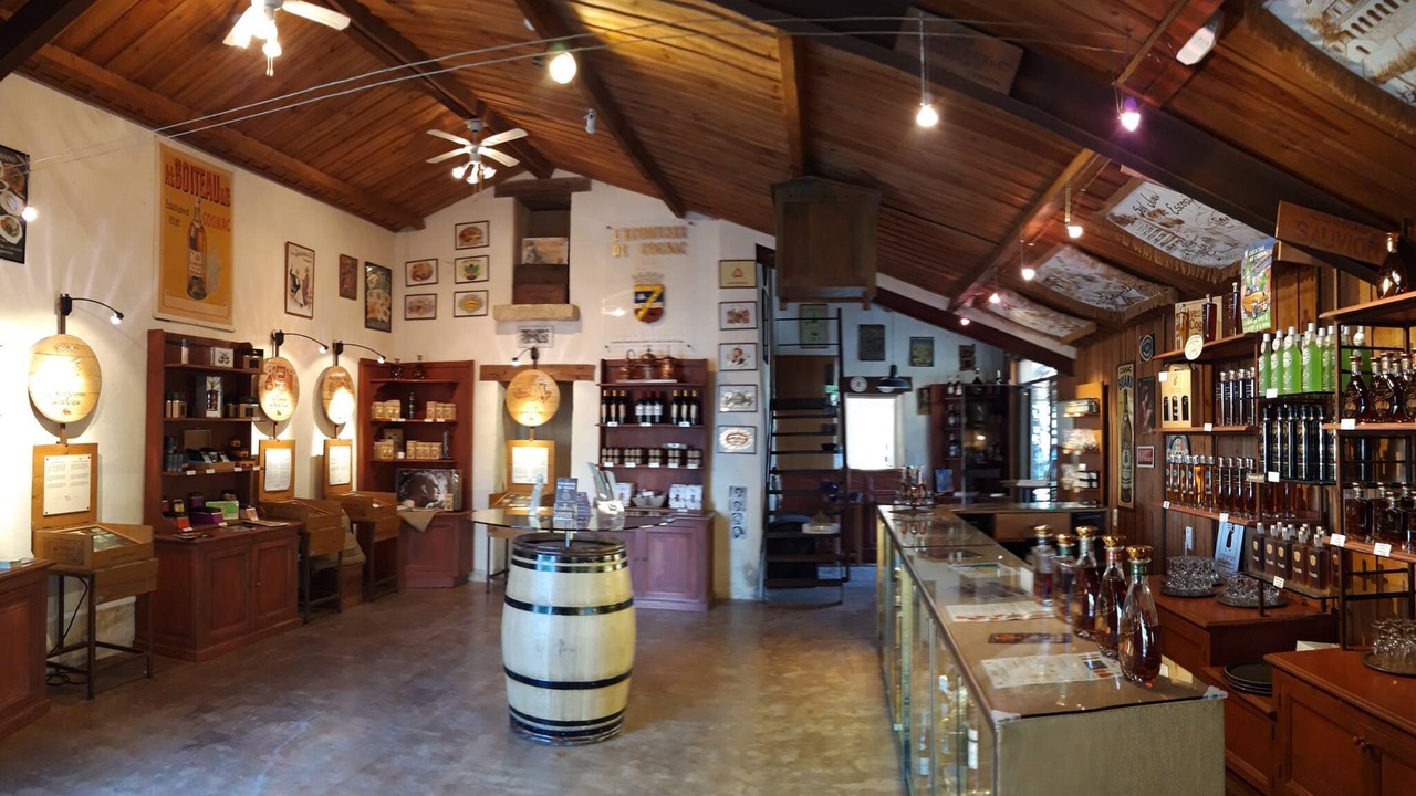 Photo of Others in Migron