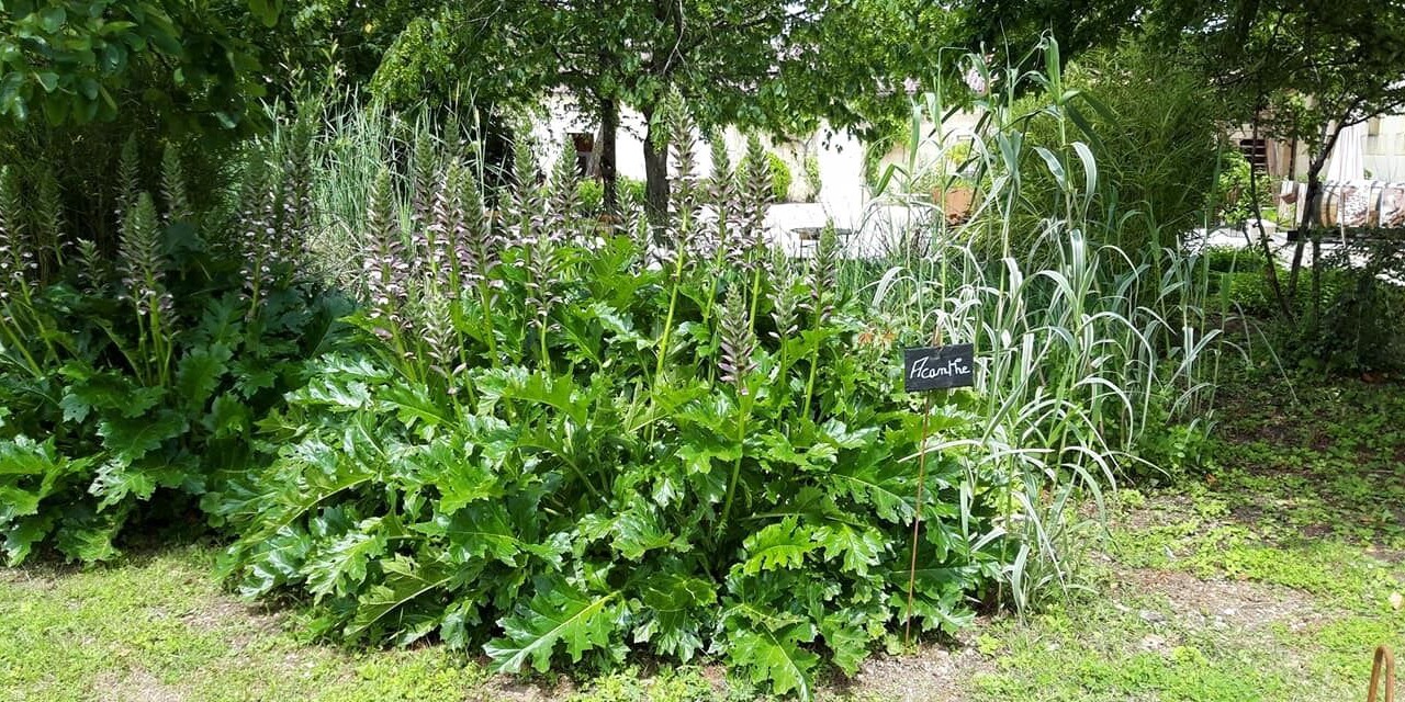 Photo of Outdoor in Migron