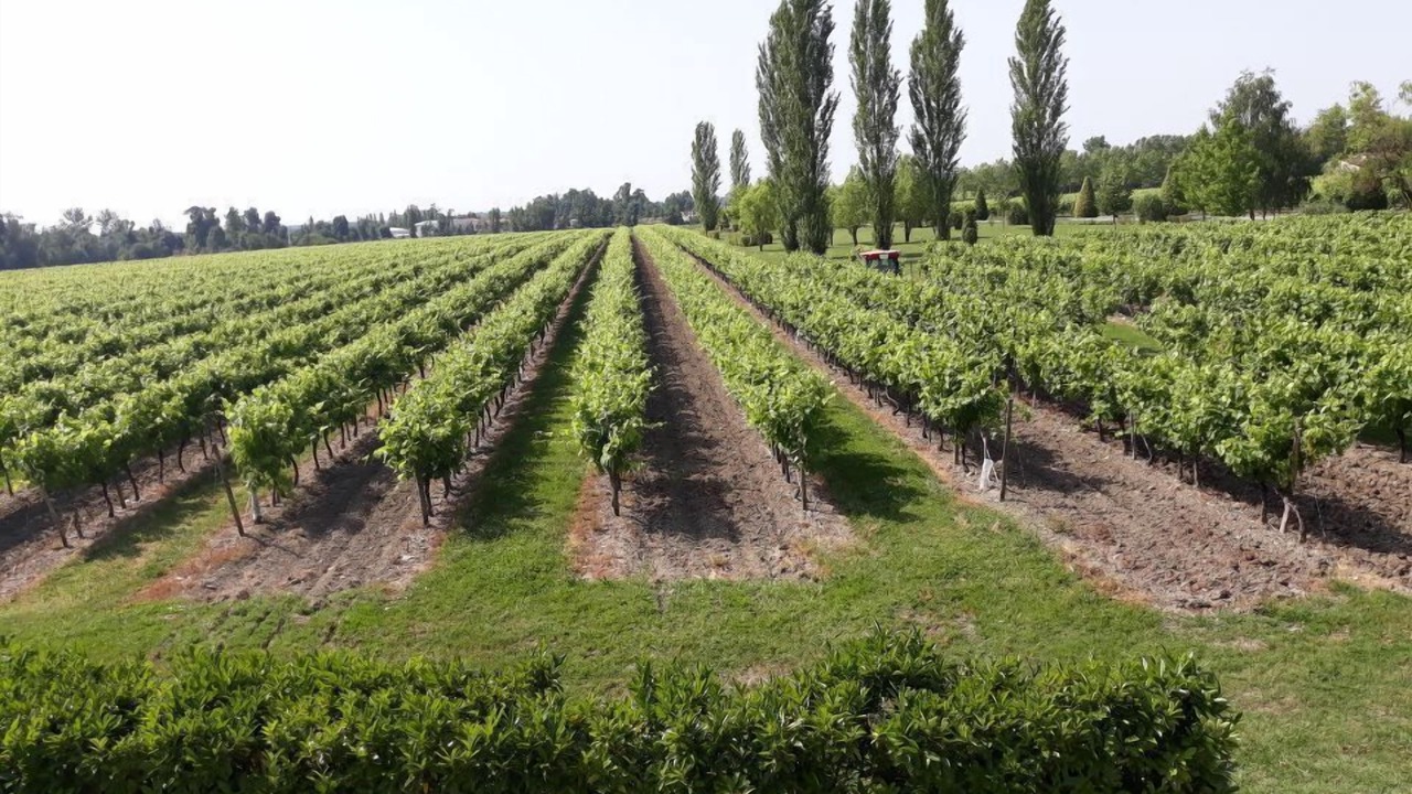 Photo of Others in Migron