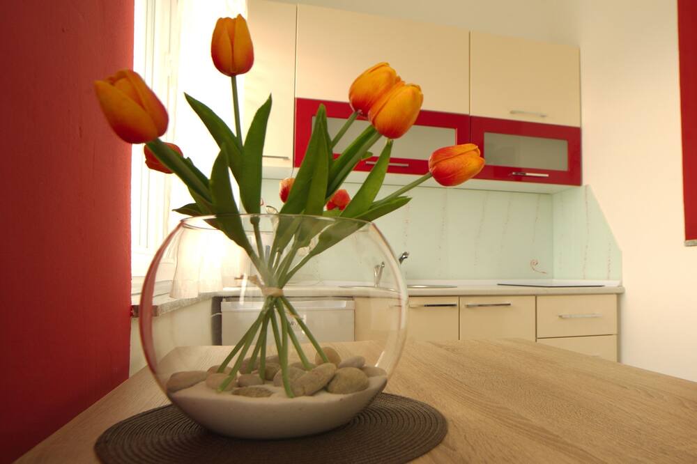 Photo of Kitchen in Slunj