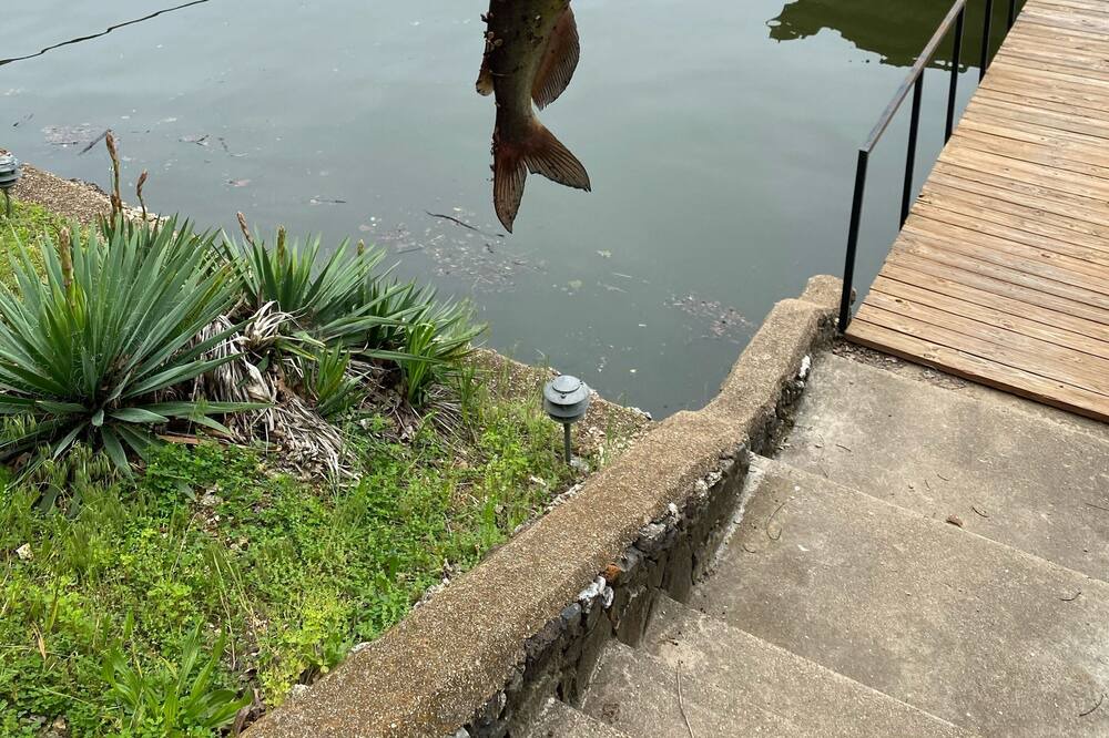 Photo of Outdoor in Roach