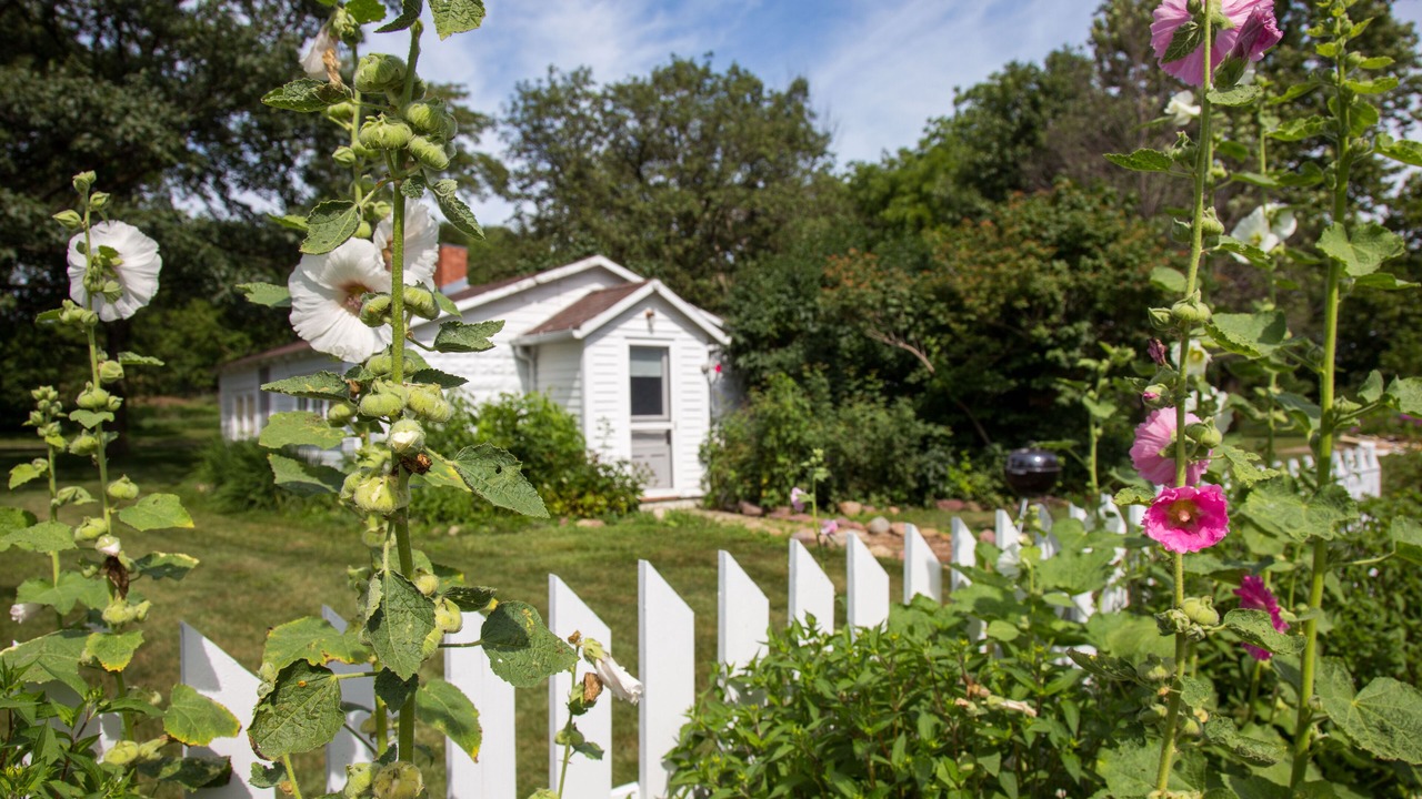 Photo of Outdoor in Coon Rapids