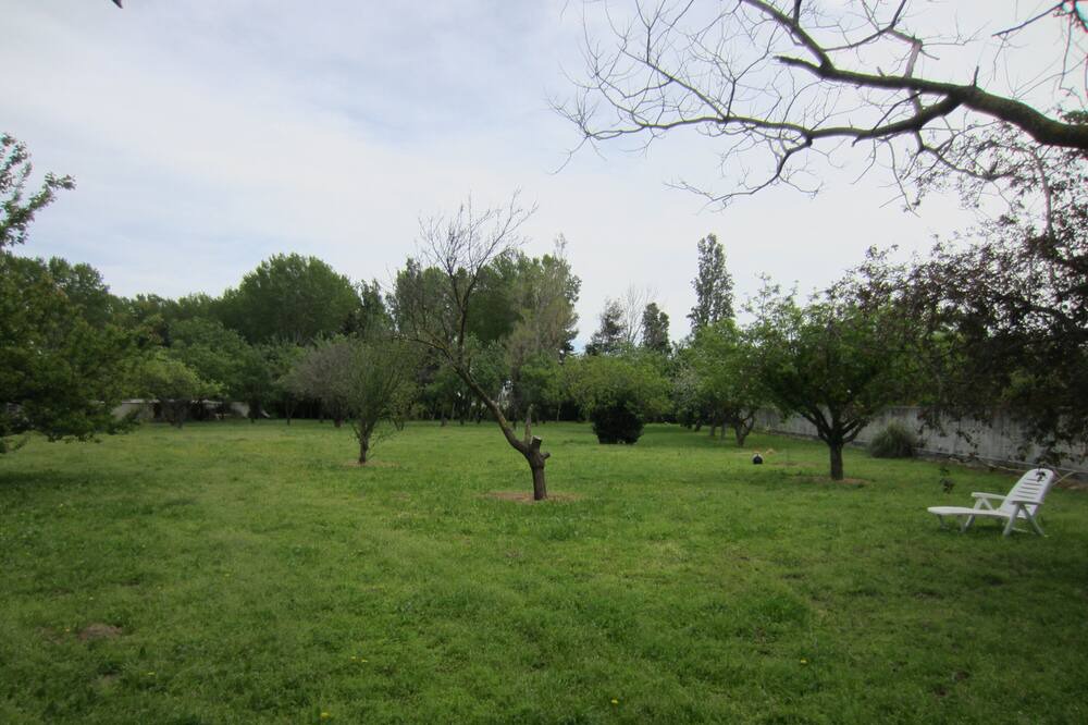 Photo of Outdoor in Saint-Cyprien