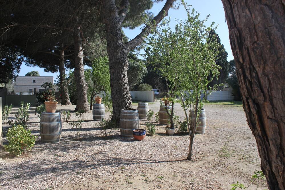 Photo of Outdoor in Saint-Cyprien