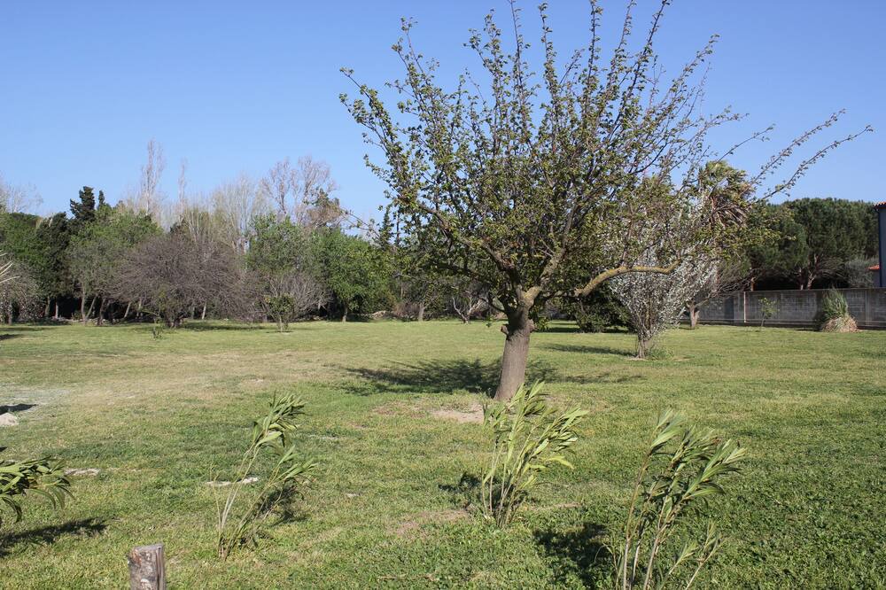 Photo of Outdoor in Saint-Cyprien