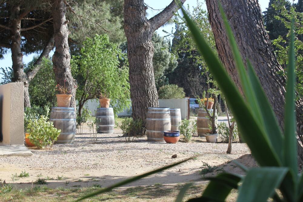 Photo of Outdoor in Saint-Cyprien