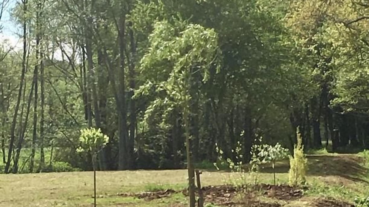 Photo of Outdoor in Curemonte